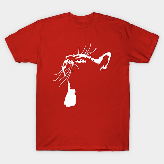 Katze T-Shirt by sibosssr